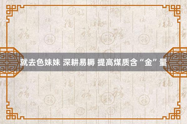 就去色妹妹 深耕易耨 提高煤质含“金”量