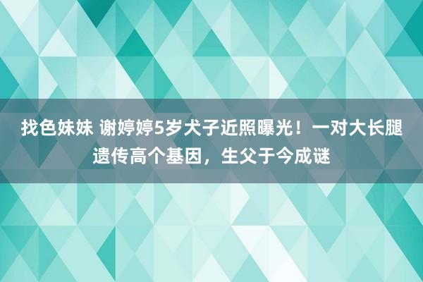 找色妹妹 谢婷婷5岁犬子近照曝光！一对大长腿遗传高个基因，生父于今成谜