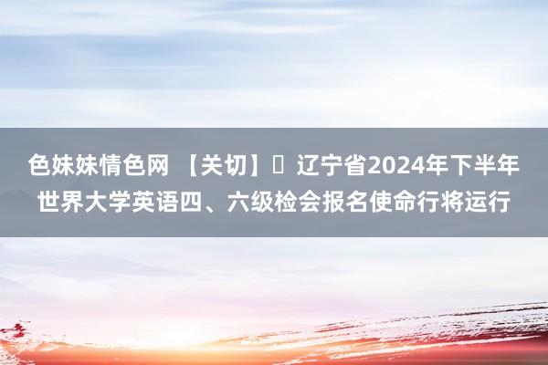 色妹妹情色网 【关切】​辽宁省2024年下半年世界大学英语四、六级检会报名使命行将运行