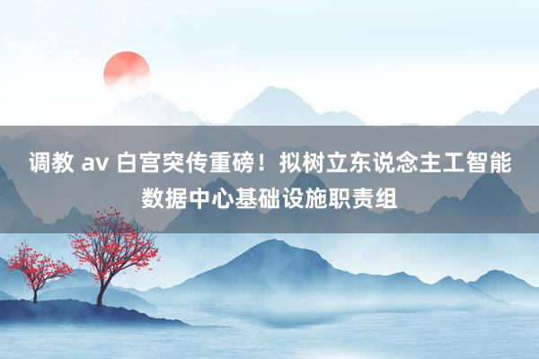 调教 av 白宫突传重磅！拟树立东说念主工智能数据中心基础设施职责组