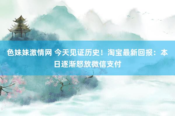 色妹妹激情网 今天见证历史！淘宝最新回报：本日逐渐怒放微信支付