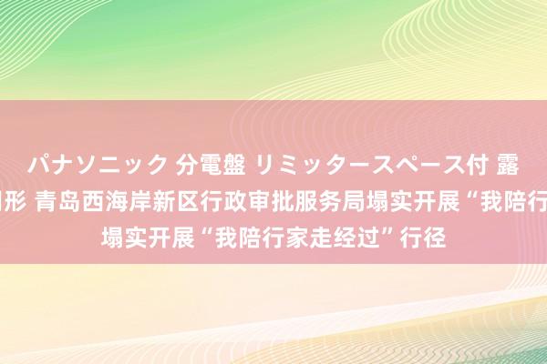 パナソニック 分電盤 リミッタースペース付 露出・半埋込両用形 青岛西海岸新区行政审批服务局塌实开展“我陪行家走经过”行径