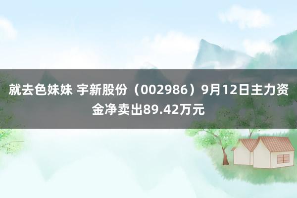 就去色妹妹 宇新股份（002986）9月12日主力资金净卖出89.42万元