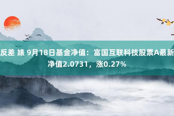 反差 婊 9月18日基金净值：富国互联科技股票A最新净值2.0731，涨0.27%