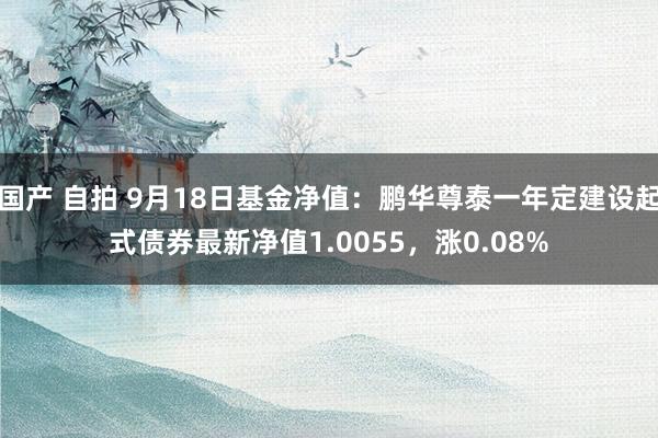 国产 自拍 9月18日基金净值：鹏华尊泰一年定建设起式债券最新净值1.0055，涨0.08%