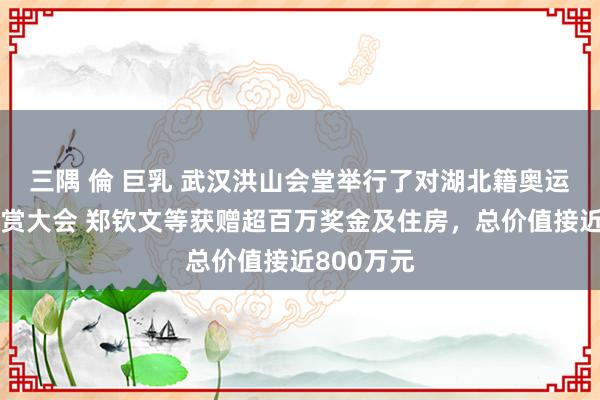 三隅 倫 巨乳 武汉洪山会堂举行了对湖北籍奥运冠军的犒赏大会 郑钦文等获赠超百万奖金及住房，总价值接近800万元