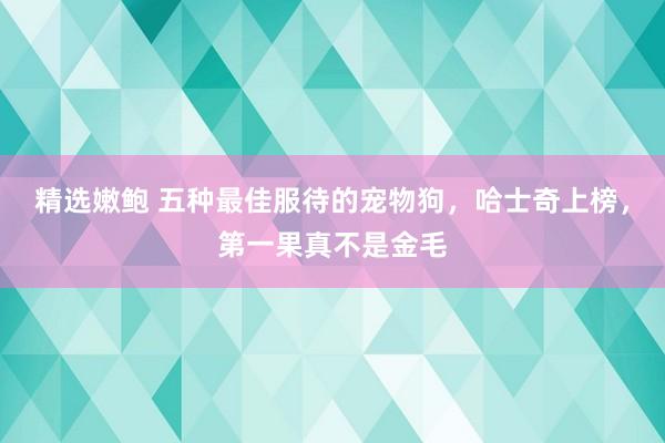 精选嫩鲍 五种最佳服待的宠物狗，哈士奇上榜，第一果真不是金毛