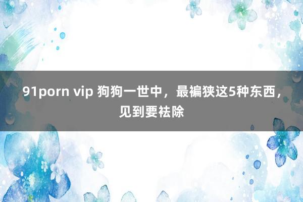 91porn vip 狗狗一世中，最褊狭这5种东西，见到要袪除