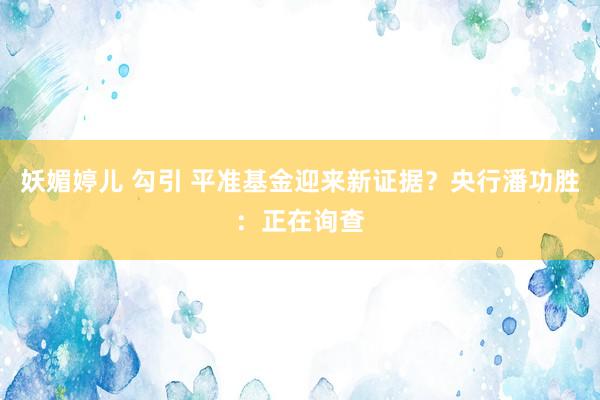 妖媚婷儿 勾引 平准基金迎来新证据？央行潘功胜：正在询查