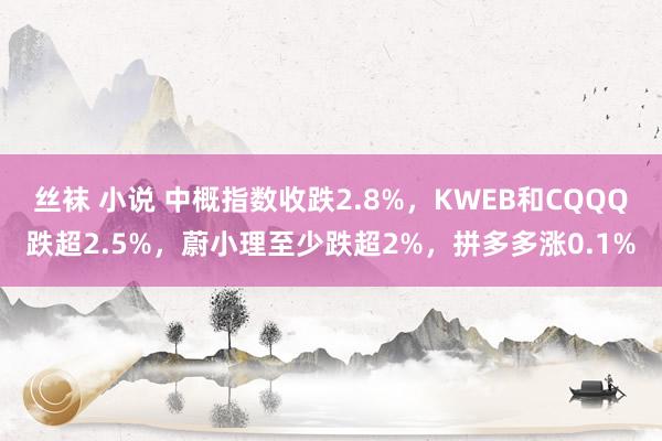 丝袜 小说 中概指数收跌2.8%，KWEB和CQQQ跌超2.5%，蔚小理至少跌超2%，拼多多涨0.1%