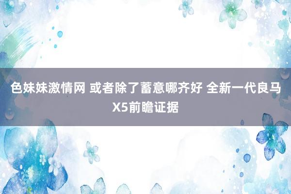 色妹妹激情网 或者除了蓄意哪齐好 全新一代良马X5前瞻证据