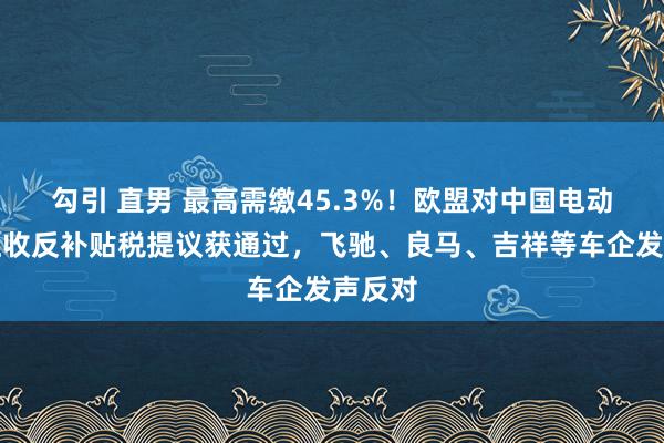 勾引 直男 最高需缴45.3%！欧盟对中国电动汽车征收反补贴税提议获通过，飞驰、良马、吉祥等车企发声反对