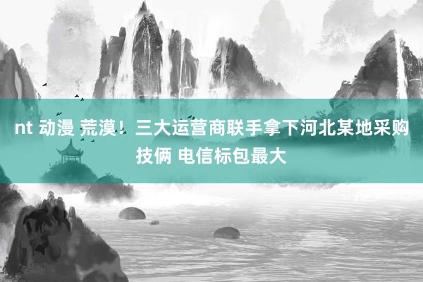 nt 动漫 荒漠！三大运营商联手拿下河北某地采购技俩 电信标包最大