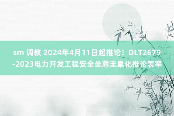 sm 调教 2024年4月11日起推论！DLT2679-2023电力开发工程安全坐蓐圭臬化推论表率