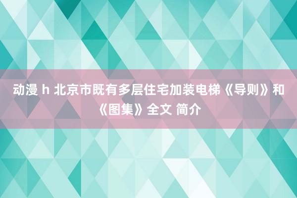 动漫 h 北京市既有多层住宅加装电梯《导则》和《图集》全文 简介