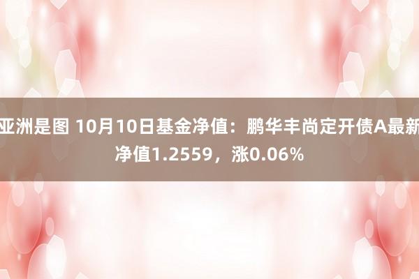 亚洲是图 10月10日基金净值：鹏华丰尚定开债A最新净值1.2559，涨0.06%