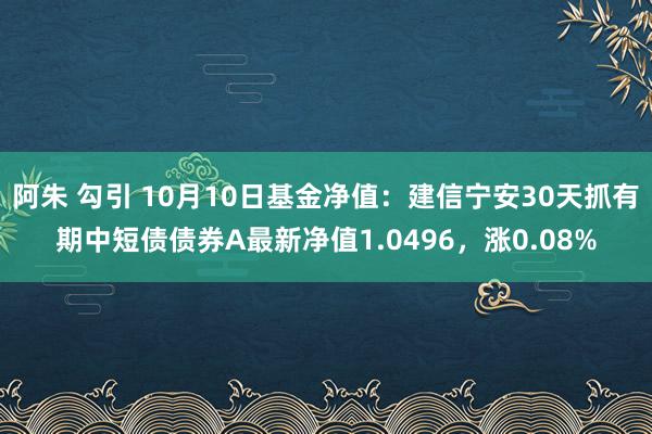 阿朱 勾引 10月10日基金净值：建信宁安30天抓有期中短债债券A最新净值1.0496，涨0.08%