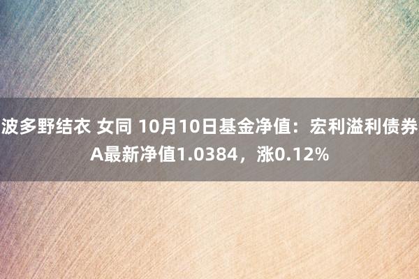 波多野结衣 女同 10月10日基金净值：宏利溢利债券A最新净值1.0384，涨0.12%