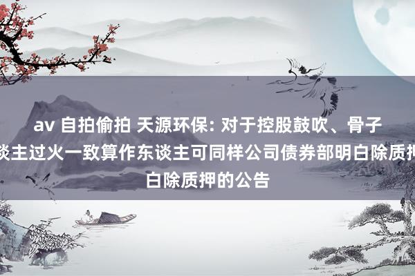 av 自拍偷拍 天源环保: 对于控股鼓吹、骨子按捺东谈主过火一致算作东谈主可同样公司债券部明白除质押的公告