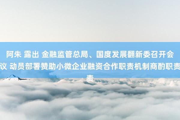 阿朱 露出 金融监管总局、国度发展翻新委召开会议 动员部署赞助小微企业融资合作职责机制商酌职责