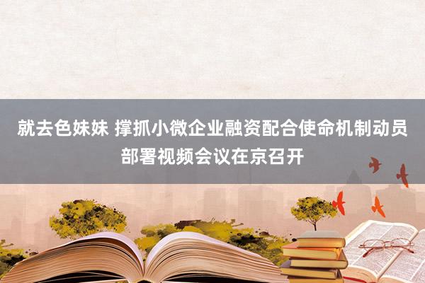 就去色妹妹 撑抓小微企业融资配合使命机制动员部署视频会议在京召开