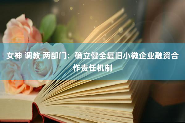 女神 调教 两部门：确立健全复旧小微企业融资合作责任机制