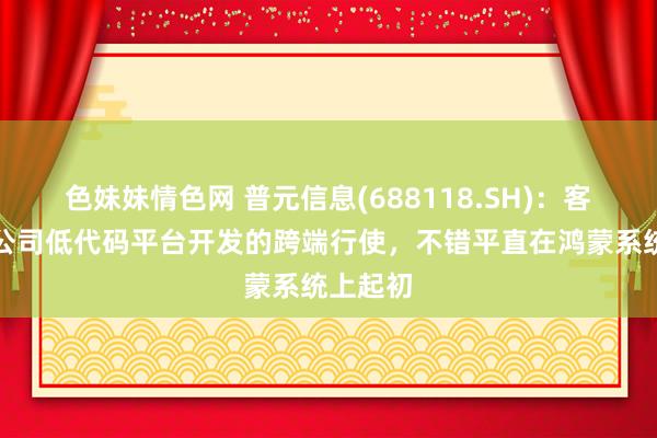 色妹妹情色网 普元信息(688118.SH)：客户基于公司低代码平台开发的跨端行使，不错平直在鸿蒙系统上起初