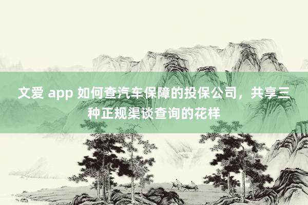 文爱 app 如何查汽车保障的投保公司，共享三种正规渠谈查询的花样