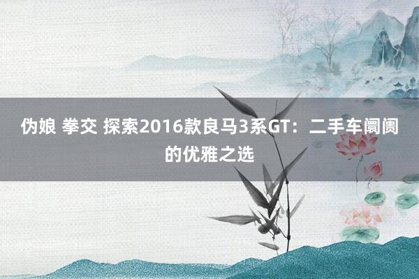 伪娘 拳交 探索2016款良马3系GT：二手车阛阓的优雅之选