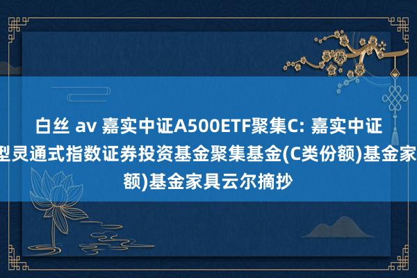 白丝 av 嘉实中证A500ETF聚集C: 嘉实中证A500往复型灵通式指数证券投资基金聚集基金(C类份额)基金家具云尔摘抄