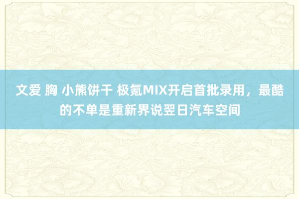 文爱 胸 小熊饼干 极氪MIX开启首批录用，最酷的不单是重新界说翌日汽车空间