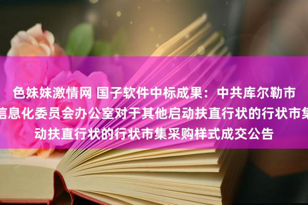 色妹妹激情网 国子软件中标成果：中共库尔勒市委员会网络安全和信息化委员会办公室对于其他启动扶直行状的行状市集采购样式成交公告