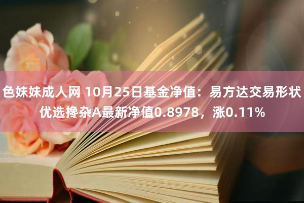 色妹妹成人网 10月25日基金净值：易方达交易形状优选搀杂A最新净值0.8978，涨0.11%