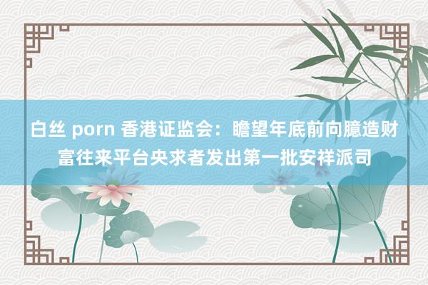 白丝 porn 香港证监会：瞻望年底前向臆造财富往来平台央求者发出第一批安祥派司