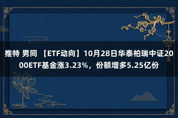 推特 男同 【ETF动向】10月28日华泰柏瑞中证2000ETF基金涨3.23%，份额增多5.25亿份