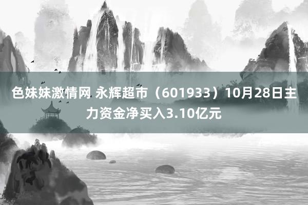 色妹妹激情网 永辉超市（601933）10月28日主力资金净买入3.10亿元