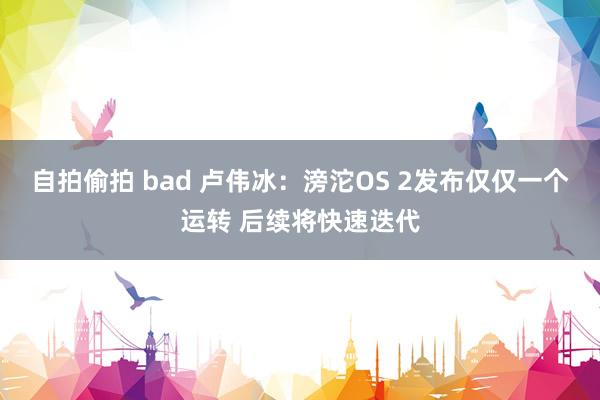 自拍偷拍 bad 卢伟冰：滂沱OS 2发布仅仅一个运转 后续将快速迭代