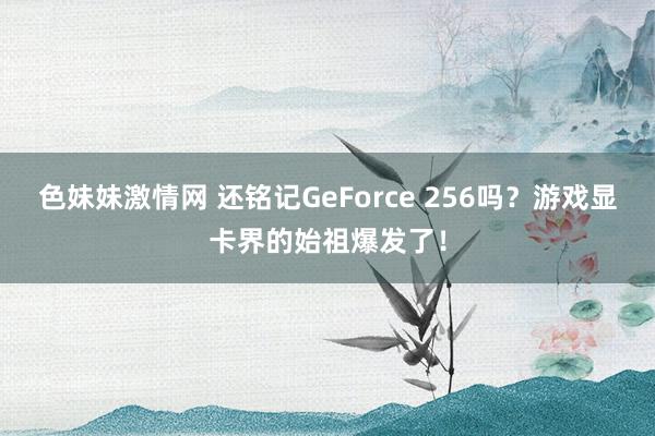 色妹妹激情网 还铭记GeForce 256吗？游戏显卡界的始祖爆发了！