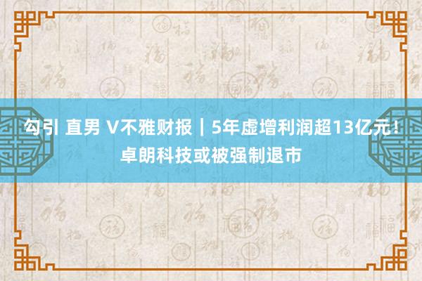 勾引 直男 V不雅财报｜5年虚增利润超13亿元！卓朗科技或被强制退市