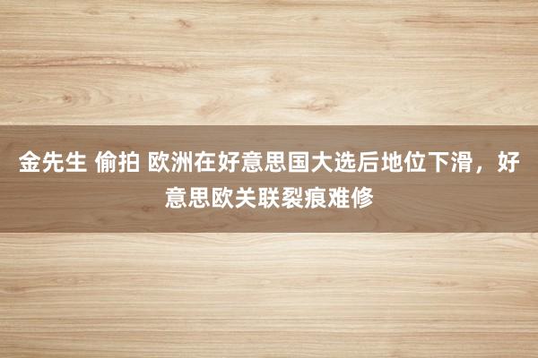 金先生 偷拍 欧洲在好意思国大选后地位下滑，好意思欧关联裂痕难修