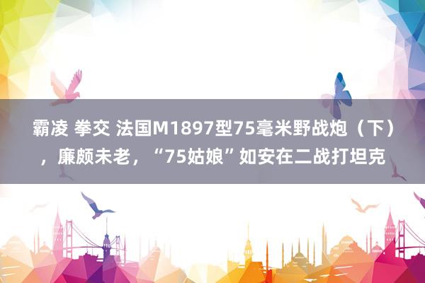 霸凌 拳交 法国M1897型75毫米野战炮（下），廉颇未老，“75姑娘”如安在二战打坦克