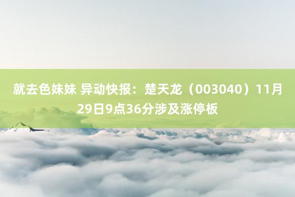 就去色妹妹 异动快报：楚天龙（003040）11月29日9点36分涉及涨停板