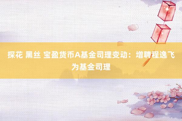 探花 黑丝 宝盈货币A基金司理变动：增聘程逸飞为基金司理