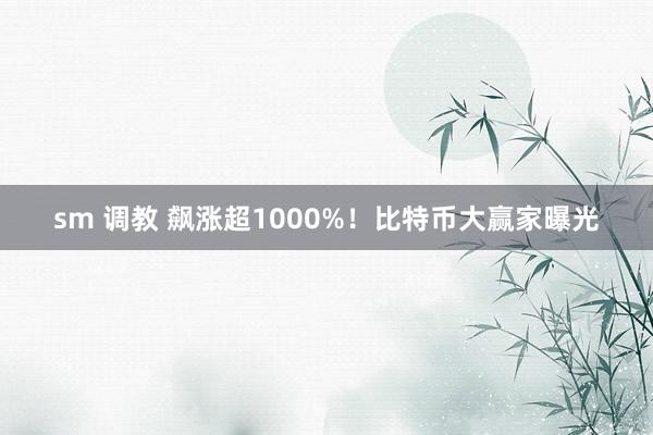 sm 调教 飙涨超1000%！比特币大赢家曝光