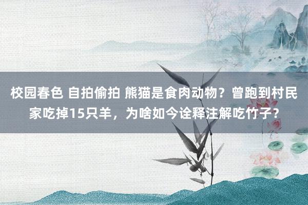 校园春色 自拍偷拍 熊猫是食肉动物？曾跑到村民家吃掉15只羊，为啥如今诠释注解吃竹子？