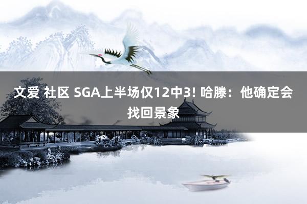 文爱 社区 SGA上半场仅12中3! 哈滕：他确定会找回景象