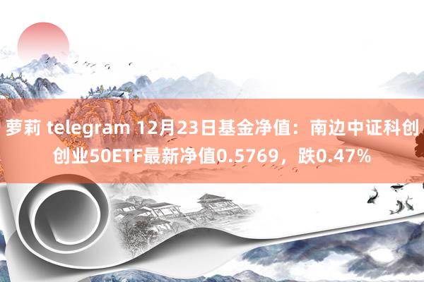 萝莉 telegram 12月23日基金净值：南边中证科创创业50ETF最新净值0.5769，跌0.