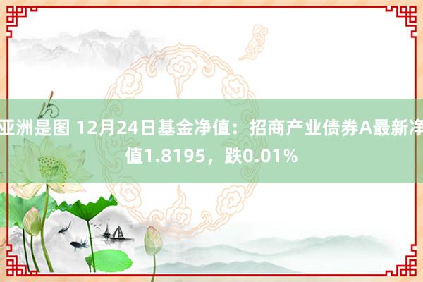 亚洲是图 12月24日基金净值：招商产业债券A最新净值1.8195，跌0.01%