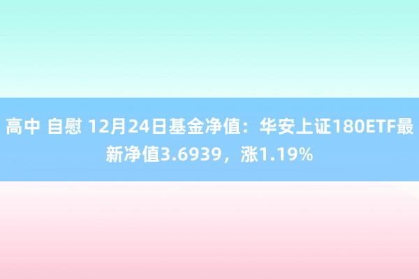 高中 自慰 12月24日基金净值：华安上证180ETF最新净值3.6939，涨1.19%