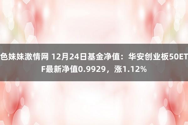 色妹妹激情网 12月24日基金净值：华安创业板50ETF最新净值0.9929，涨1.12%